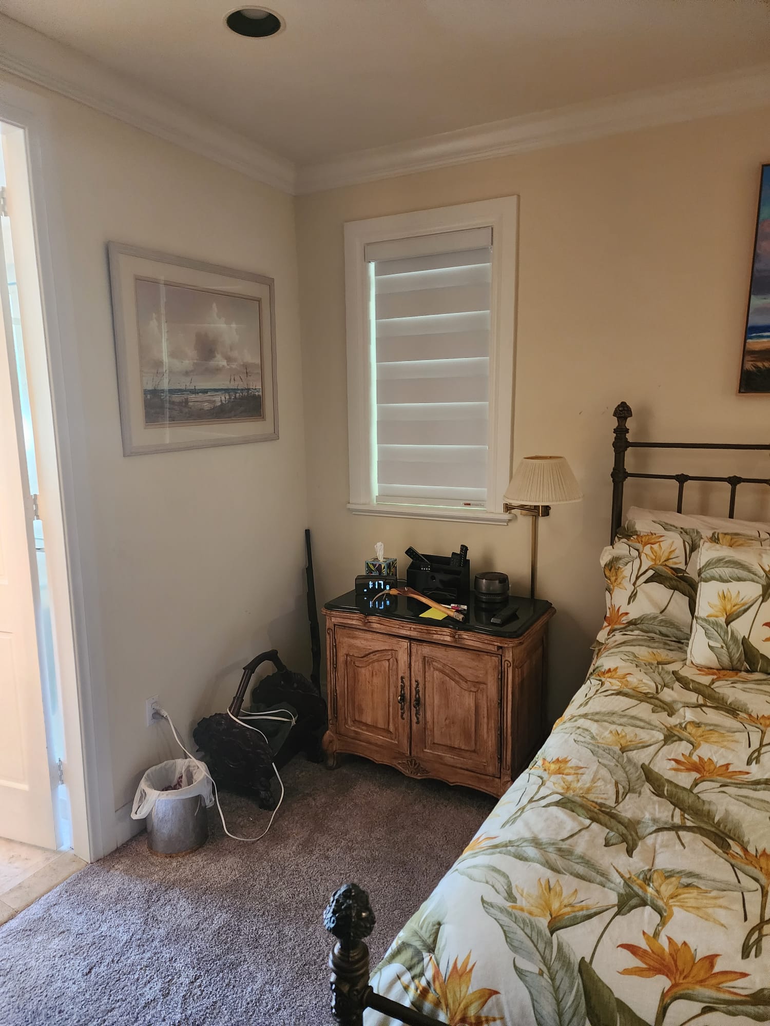 Zebra shade in a guest bedroom