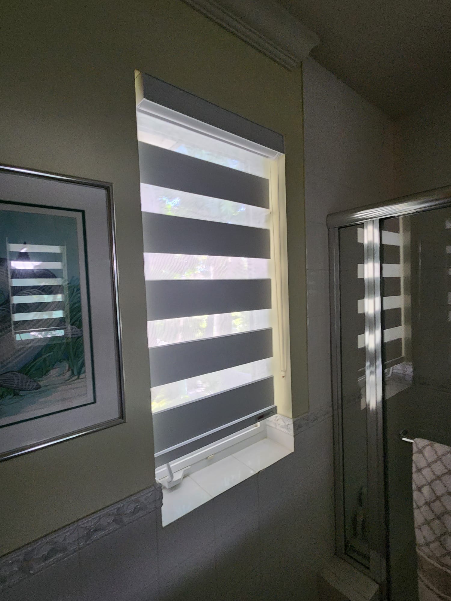 Zebra roller shades in a Miami bathroom